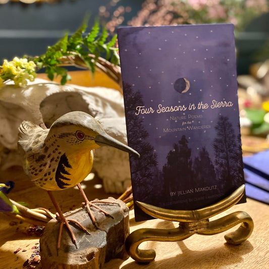 Four Seasons in the Sierra