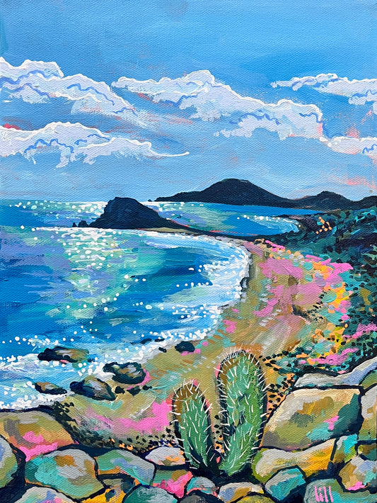 Bad Roads Good People, Baja California Art Print