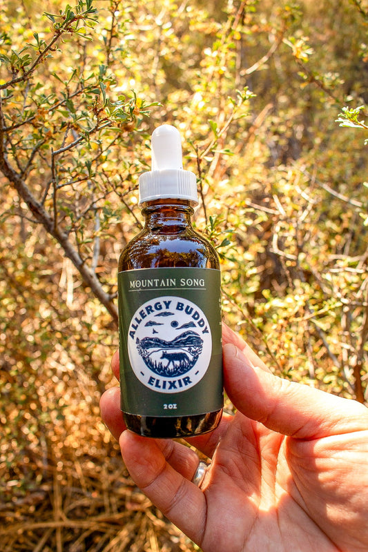 Allergy Buddy Elixir - Mountain Song