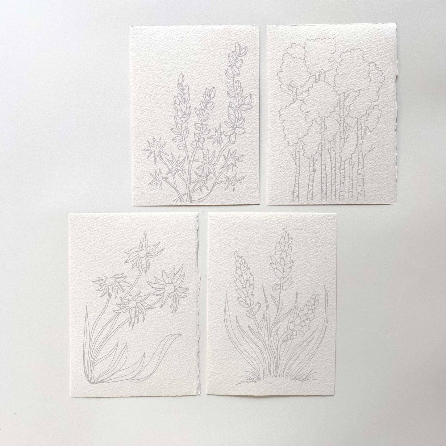 DIY watercolor kit : Alpine Botanical