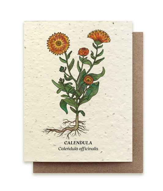 Calendula-Plantable Wildflower Seed Card