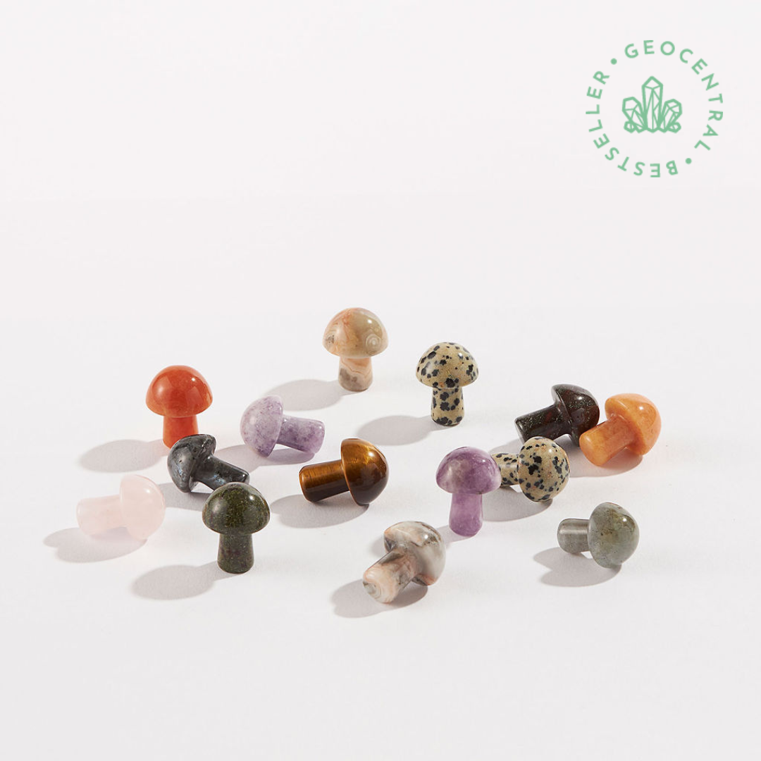 Mini Stone Mushrooms