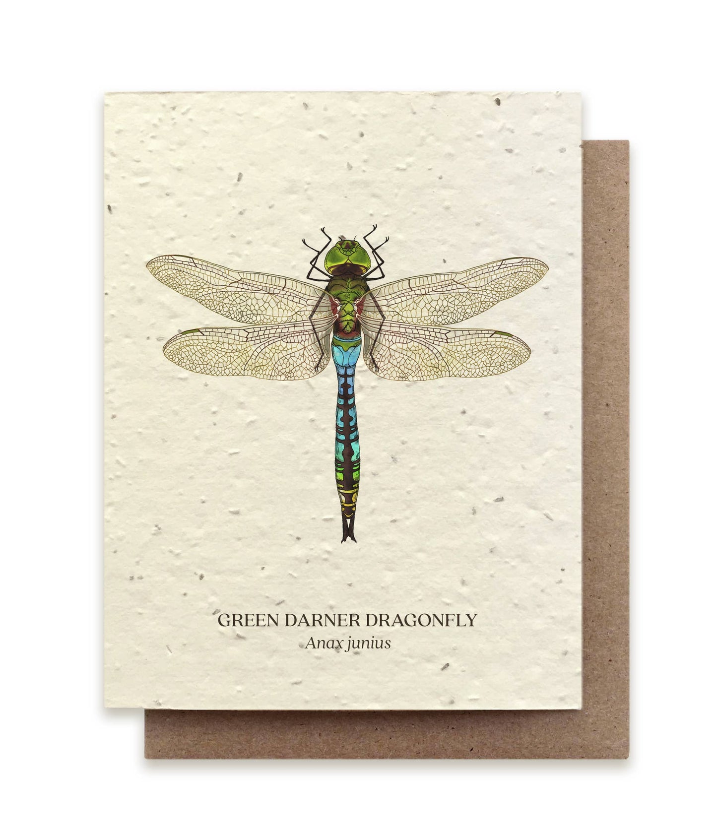 Dragonfly - Plantable Seed Card