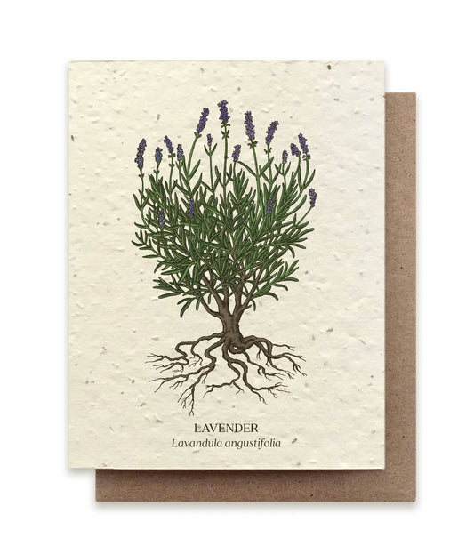 Lavender Botanical Greeting Cards - Plantable Seed Paper