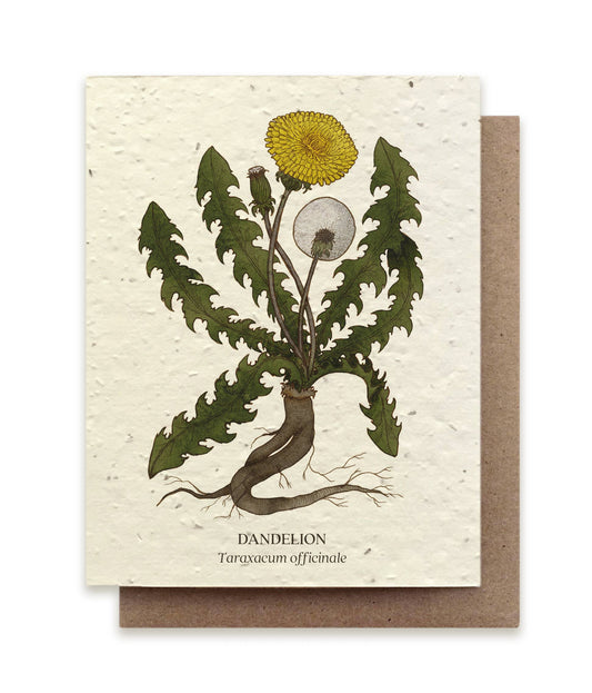 Dandelion Botanical Greeting Cards - Plantable Seed Paper