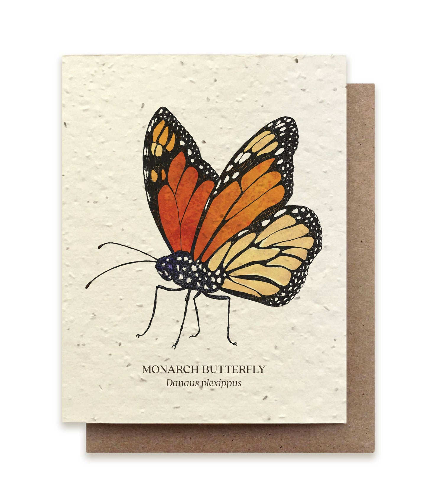 Monarch Butterfly - Plantable Seed Card