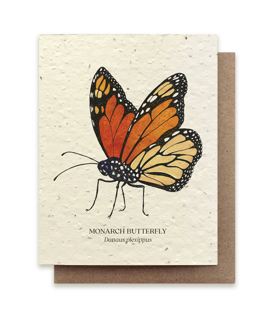 Monarch Butterfly - Plantable Seed Card