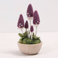 Needle Felting Kit - Pixie Parasol