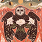Moonflower Owl Art Print  