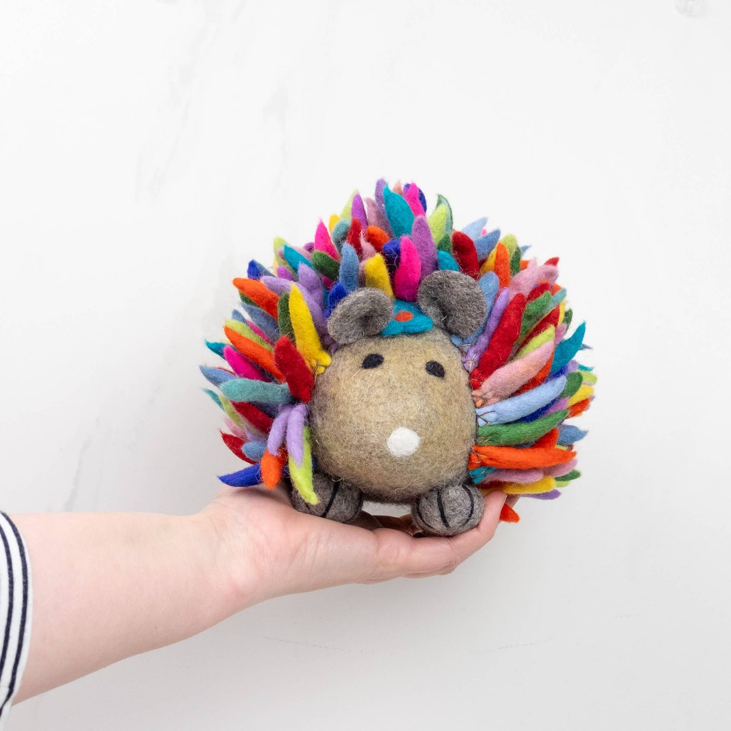Large Rainbow Hedgehog