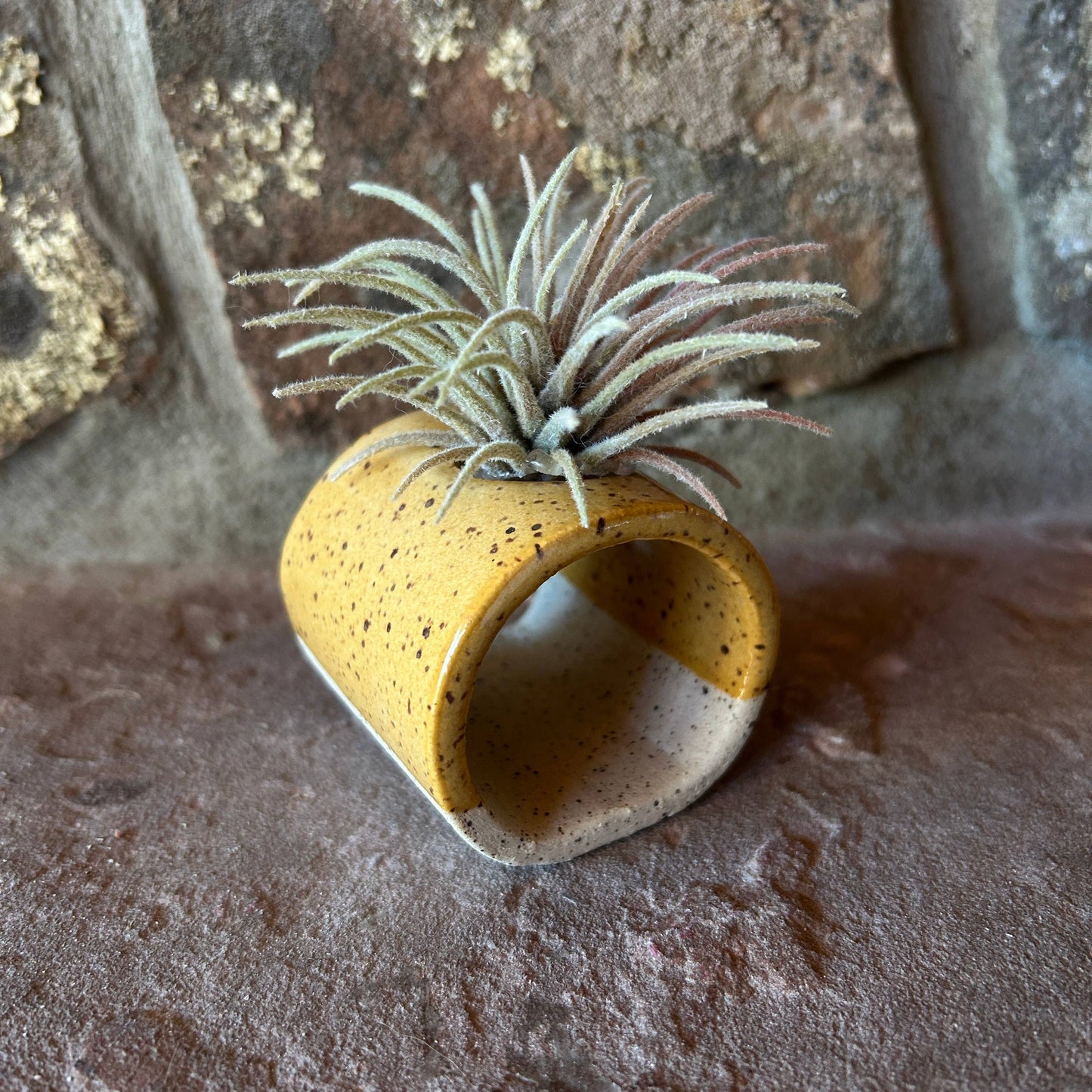 Blue ceramics Air Plant or Palo Santo Holder