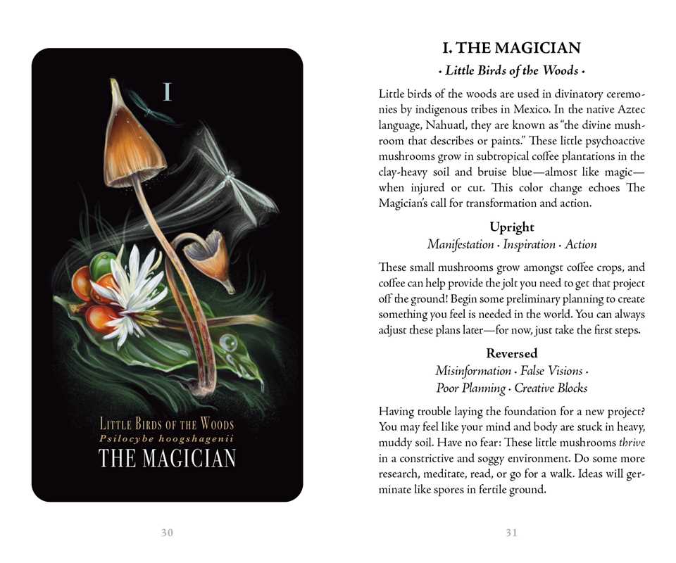 Midnight Magic Deck