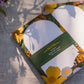 Bush Poppy - Botanical Garden Notepad