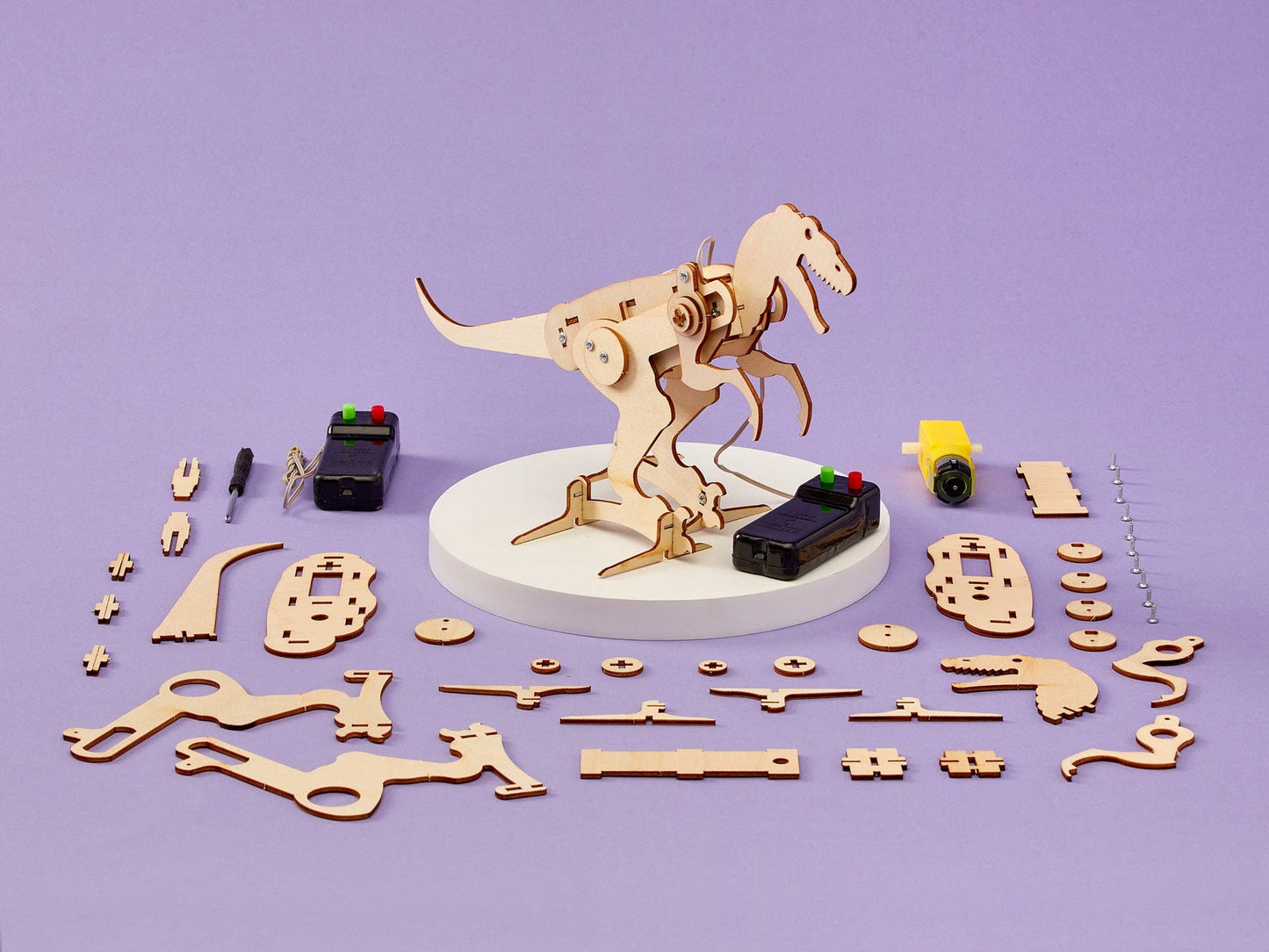 Dinosaur Robot DIY Kit