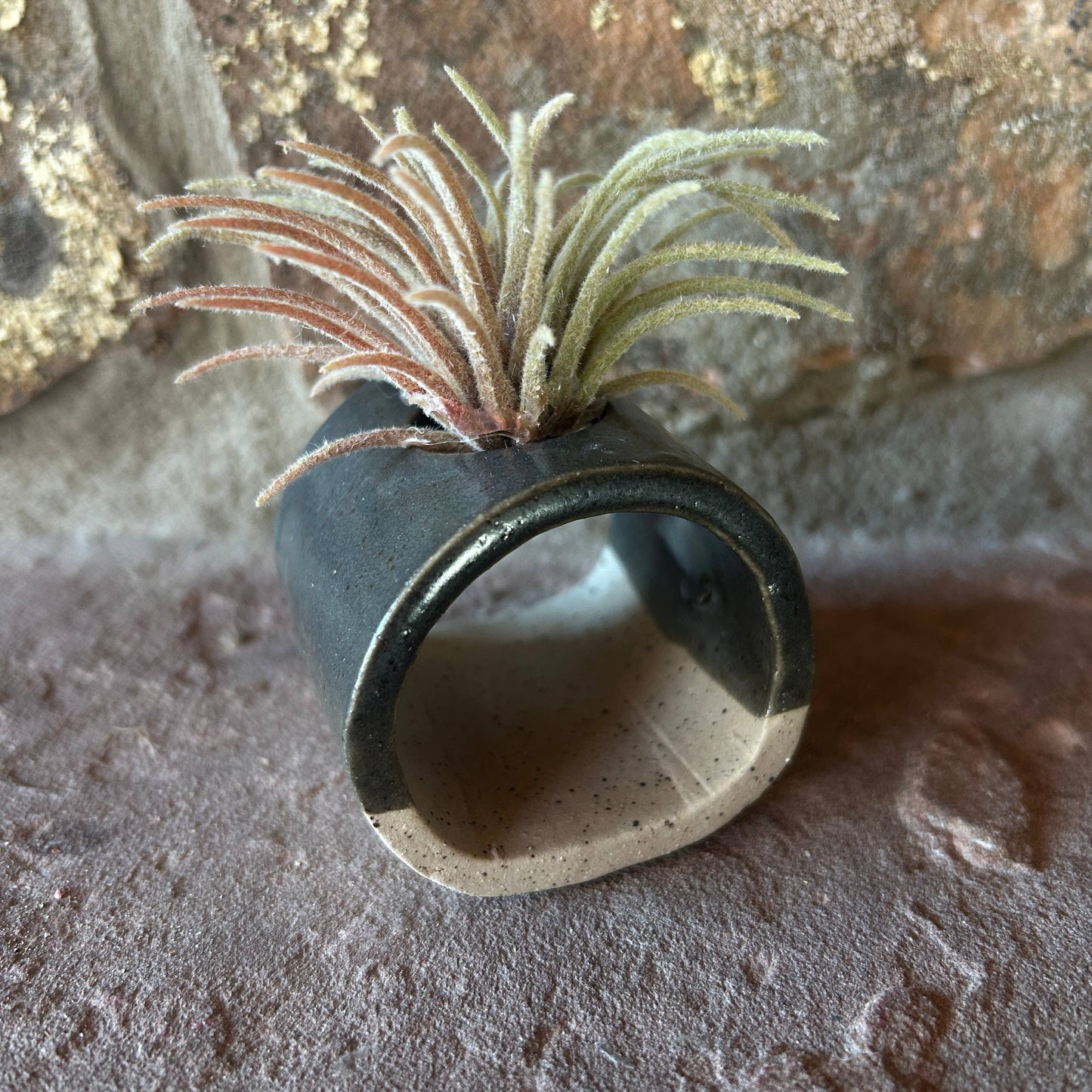 Blue ceramics Air Plant or Palo Santo Holder