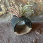 Blue ceramics Air Plant or Palo Santo Holder