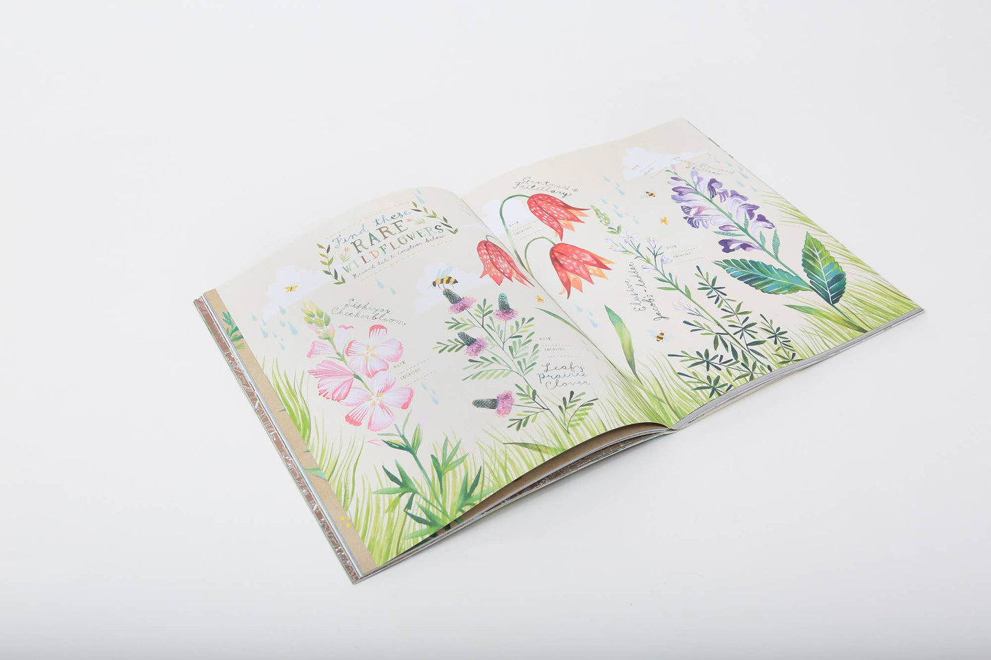 The Wildflower's Workbook