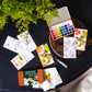 Citrus Fruits watercolor painting kit