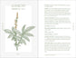 Complete Folk Herbal by Rebecca Beyer