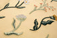 Butter Yellow Blooms Embroidered Journal