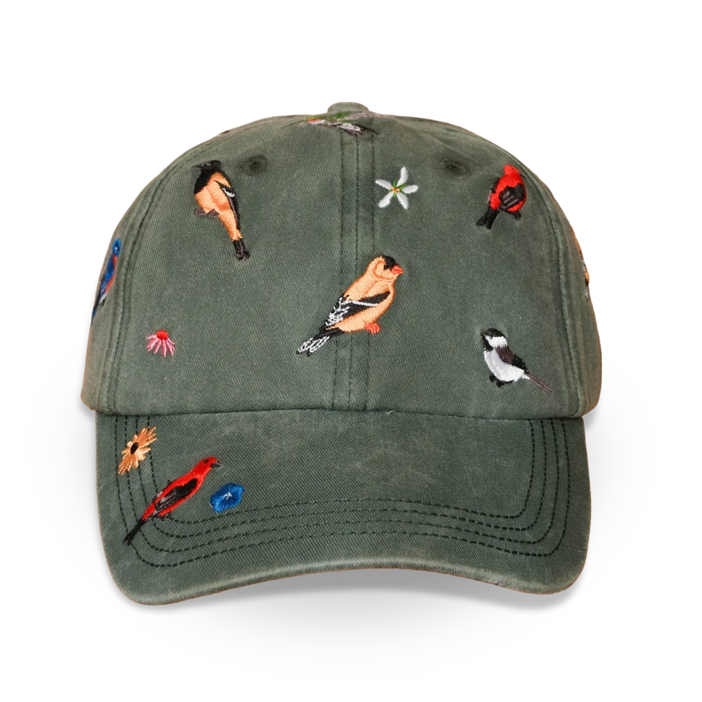 Backyard Birds Washed Hat