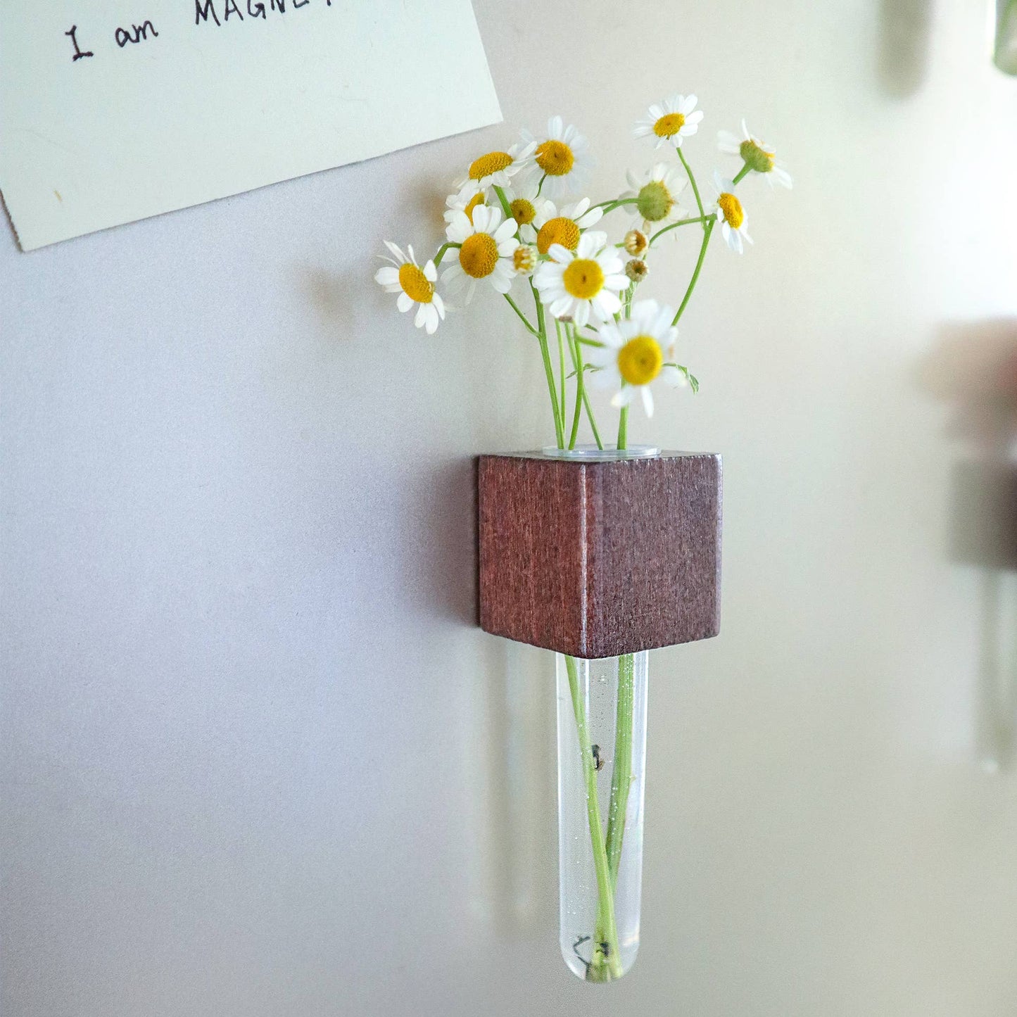 Mini Vase Magnet