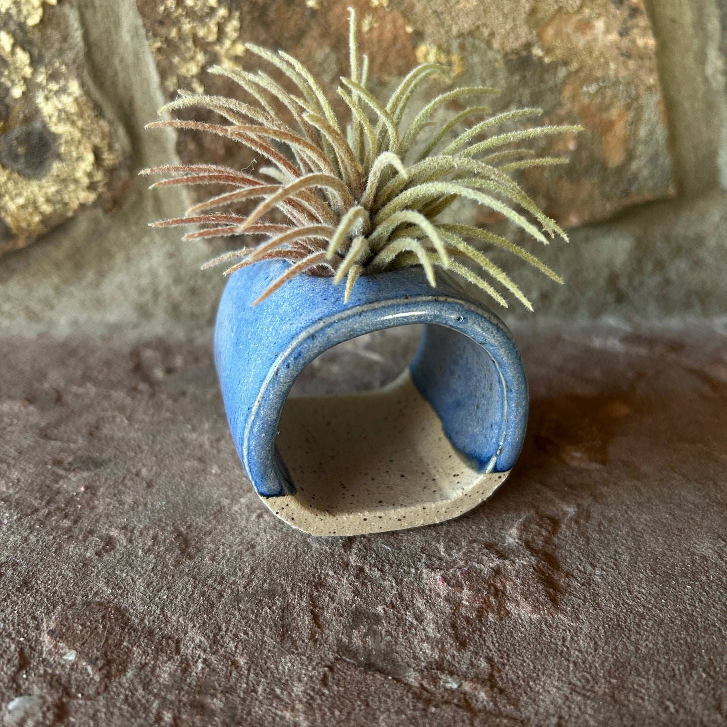 Blue ceramics Air Plant or Palo Santo Holder