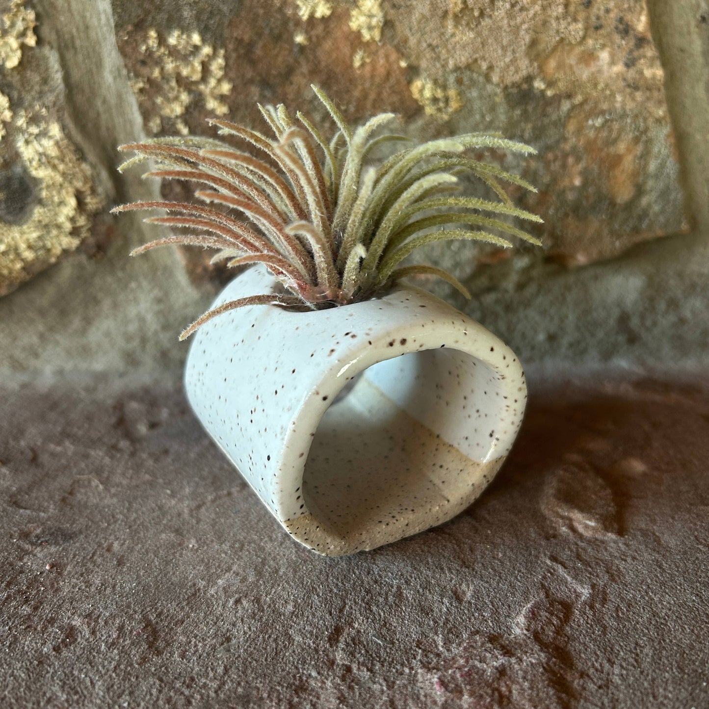 Blue ceramics Air Plant or Palo Santo Holder