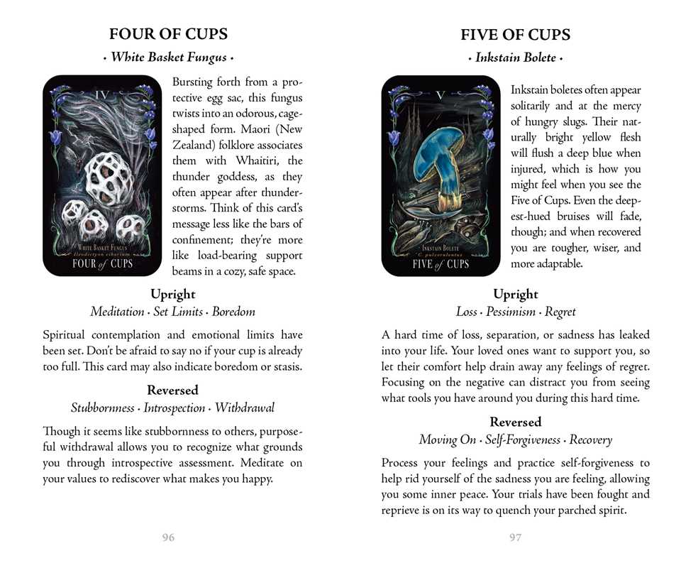 Midnight Magic Deck