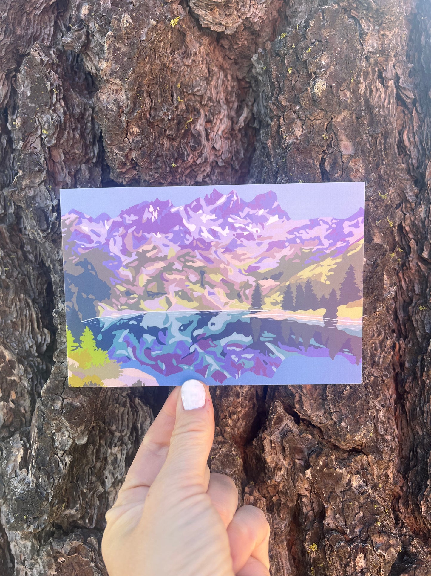 Sierra Buttes View Postcard