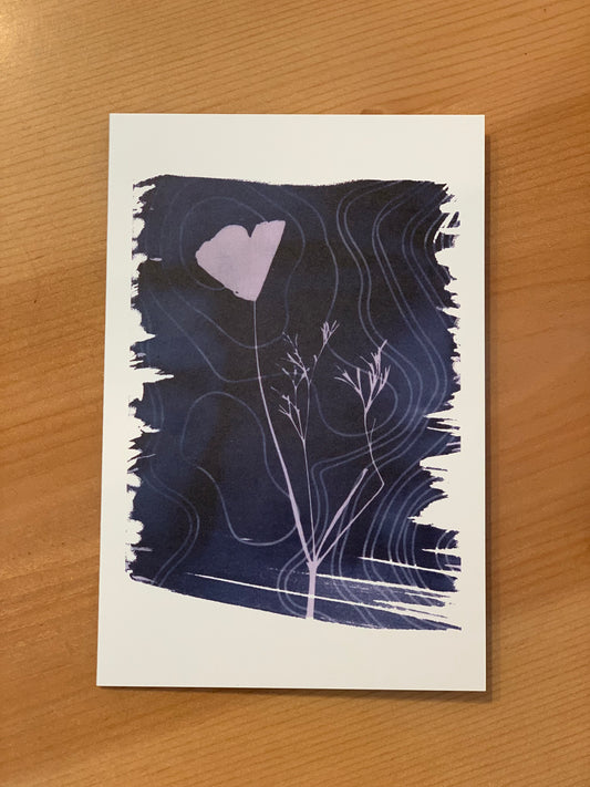 Cyanotype Greeting Card