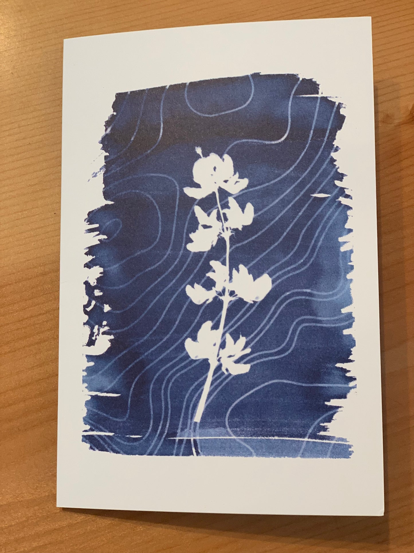 Cyanotype Greeting Card