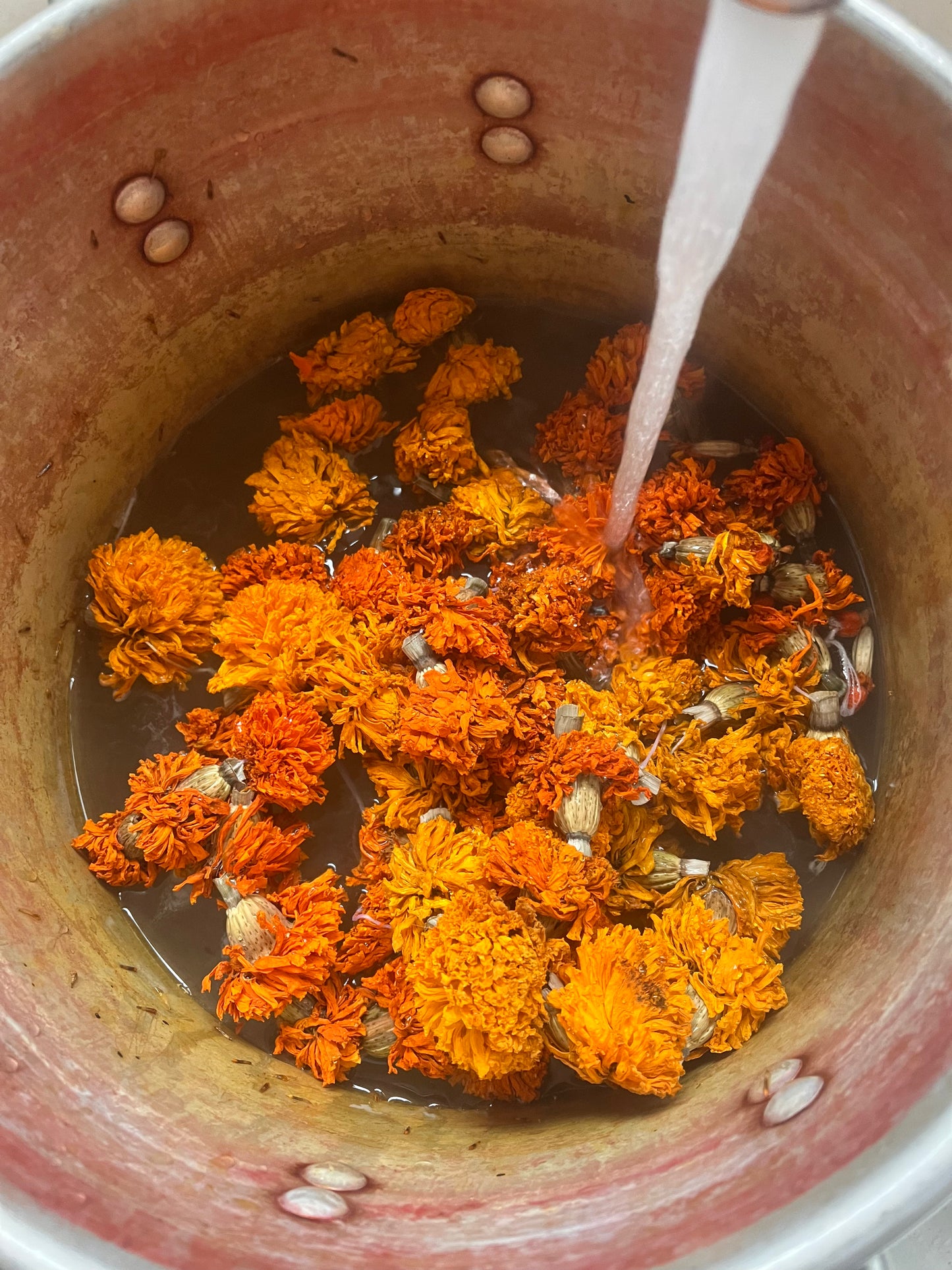 Natural Dye Workshop -  Saturday June 27th, 4-6:30pm