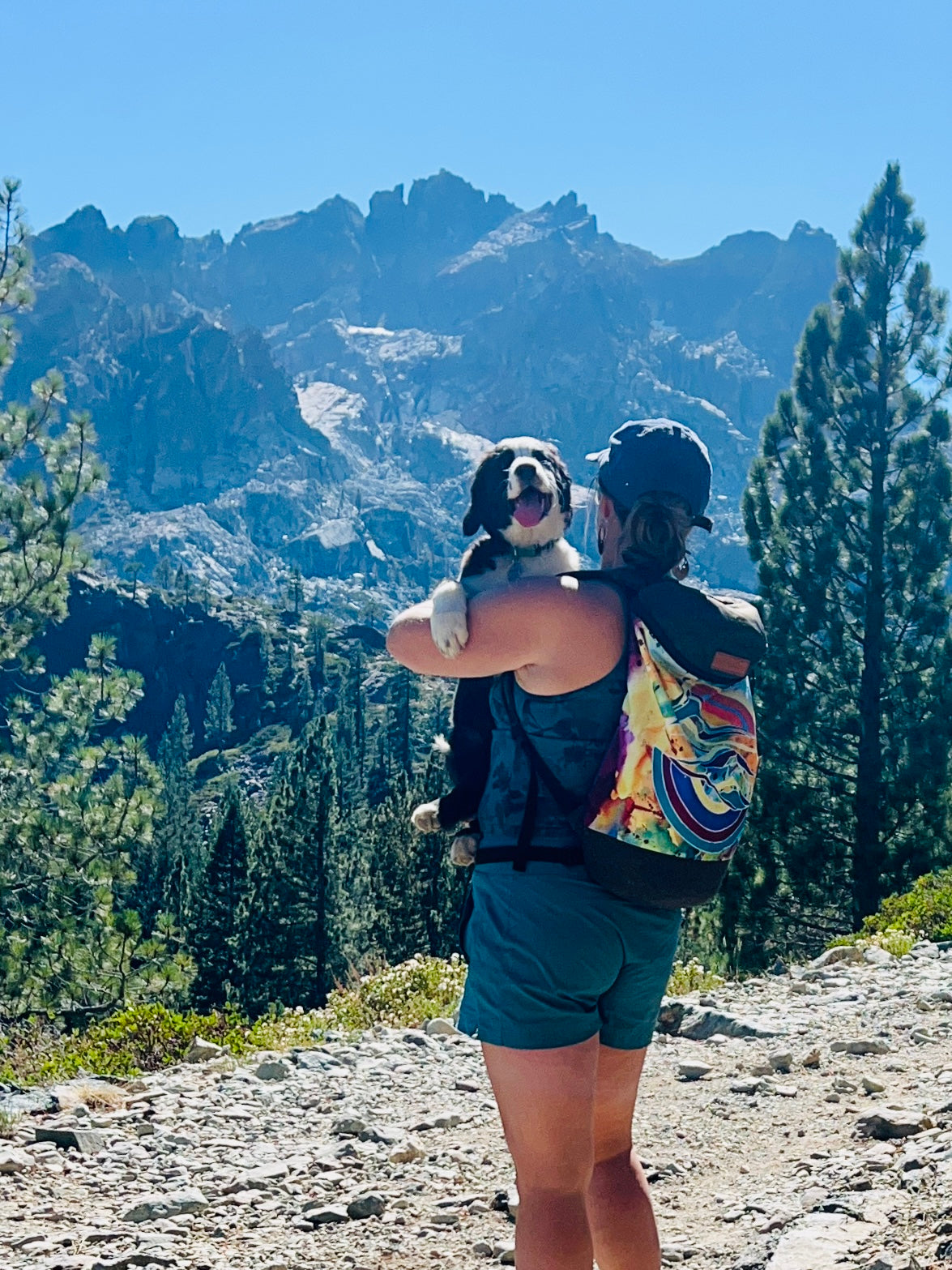 Cosmic Mountains Artist Backpack