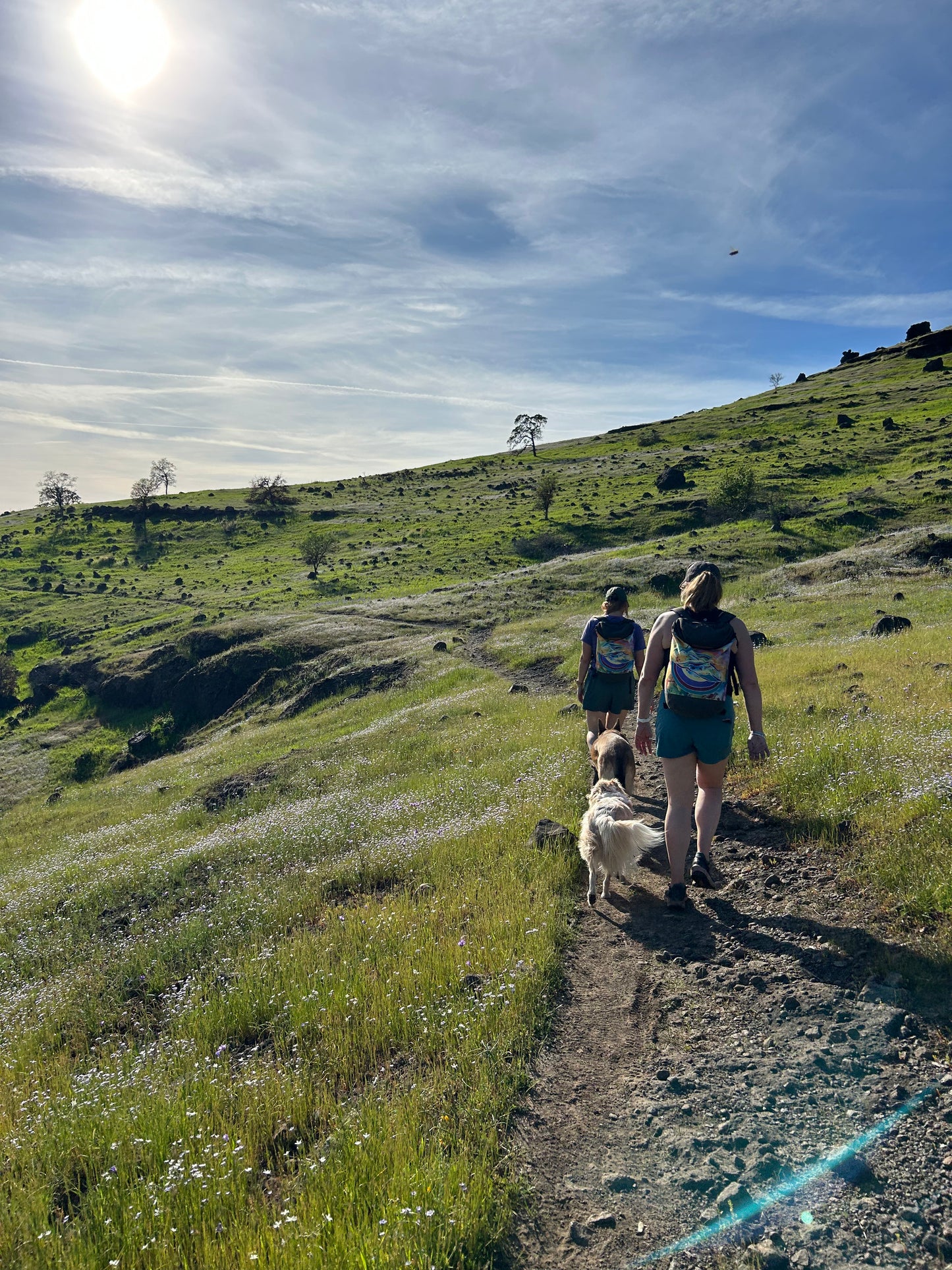 Cosmic Mountains Artist Backpack