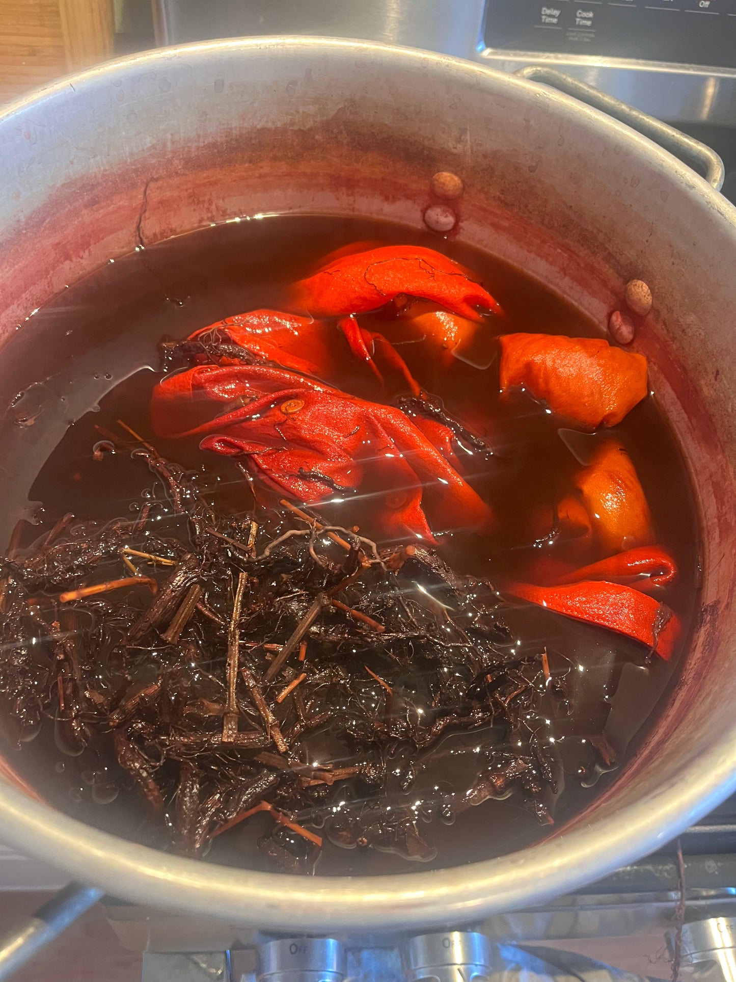 Natural Dye Workshop -  Saturday June 27th, 4-6:30pm
