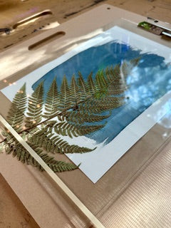 Create with the Sun: A Beginner’s Cyanotype Workshop - Tuesday , July 21 : 4-6:30 pm