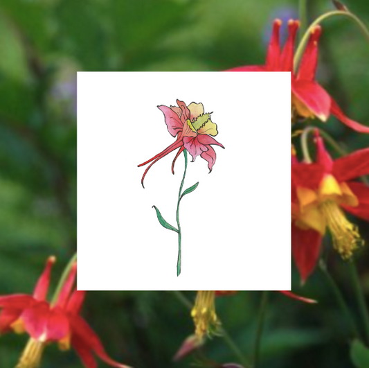 Watercolor Wildflowers Class - Monday June 15th, 5:30-7:30pm
