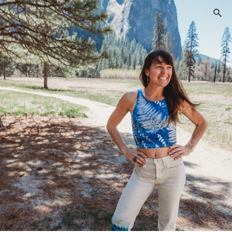 Sierra Sown Crop Top