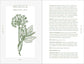 Complete Folk Herbal by Rebecca Beyer