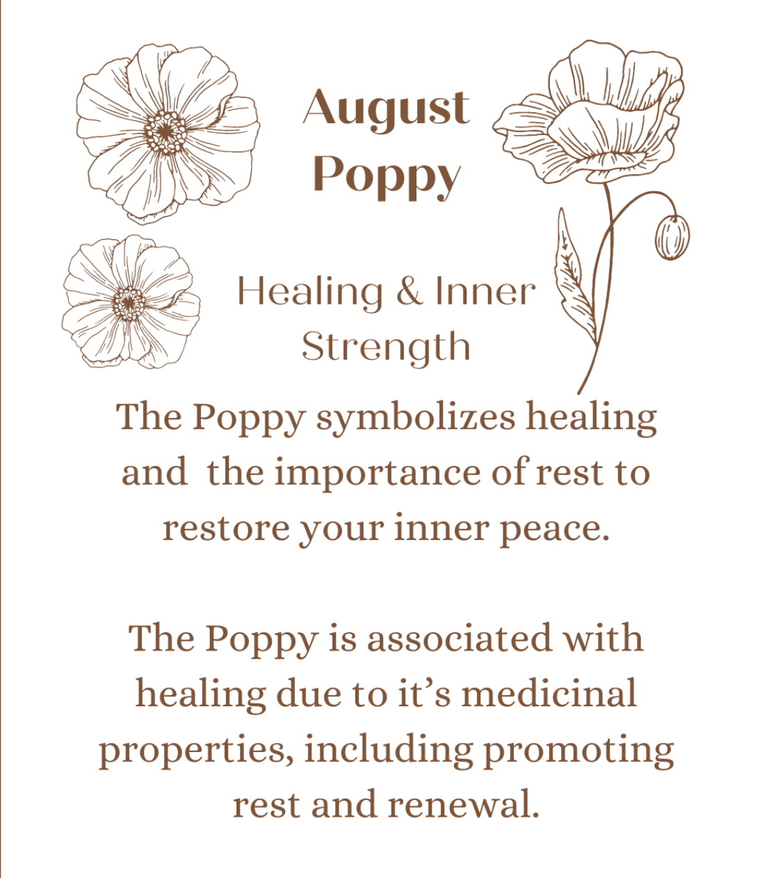 Red Poppy in Rhea