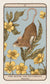 Woodland Wardens Oracle Deck