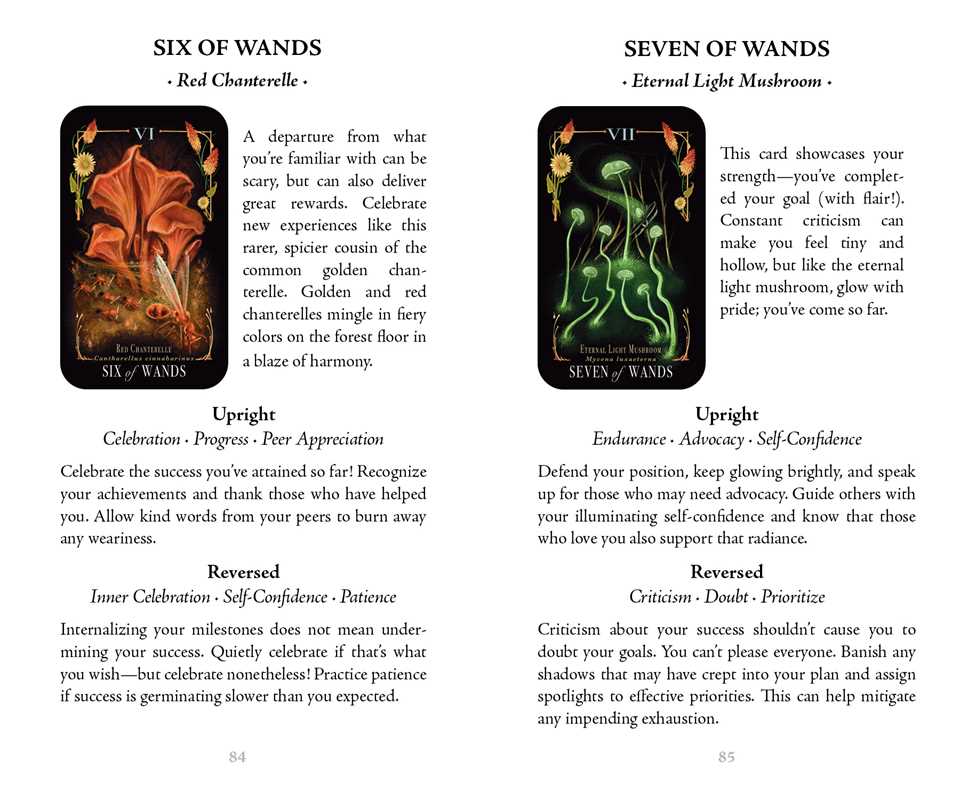 Midnight Magic Deck