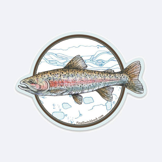 Rainbow Trout Sticker