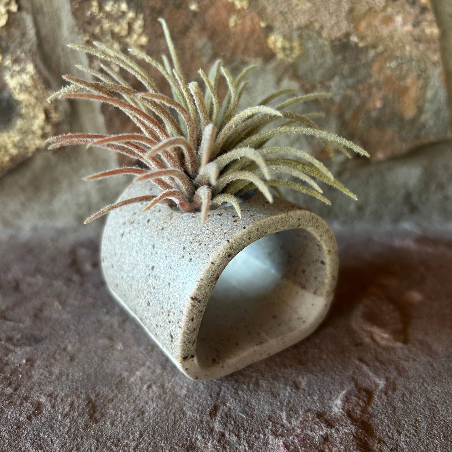 Blue ceramics Air Plant or Palo Santo Holder