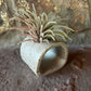Blue ceramics Air Plant or Palo Santo Holder