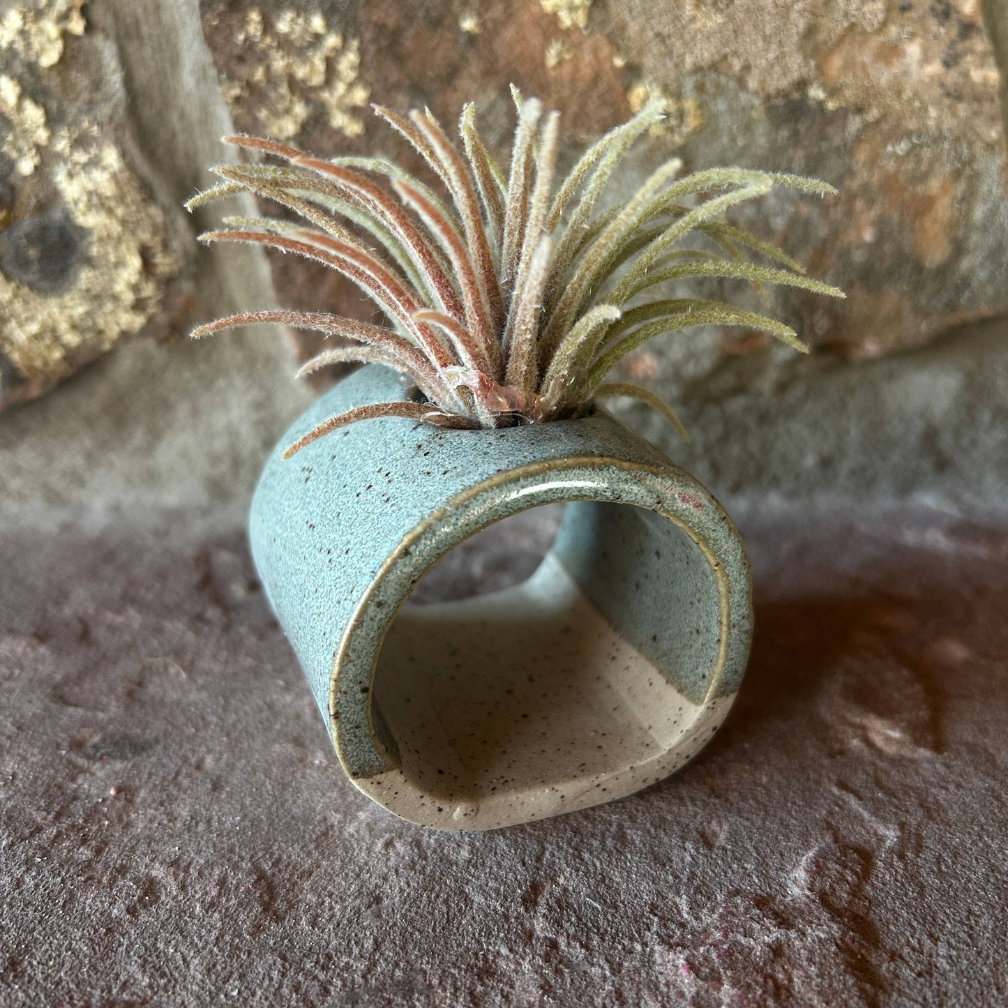 Blue ceramics Air Plant or Palo Santo Holder