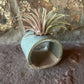 Blue ceramics Air Plant or Palo Santo Holder