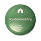 Ponderosa Pine Scented Candle - Bluecorn Aromática - 8oz Tin