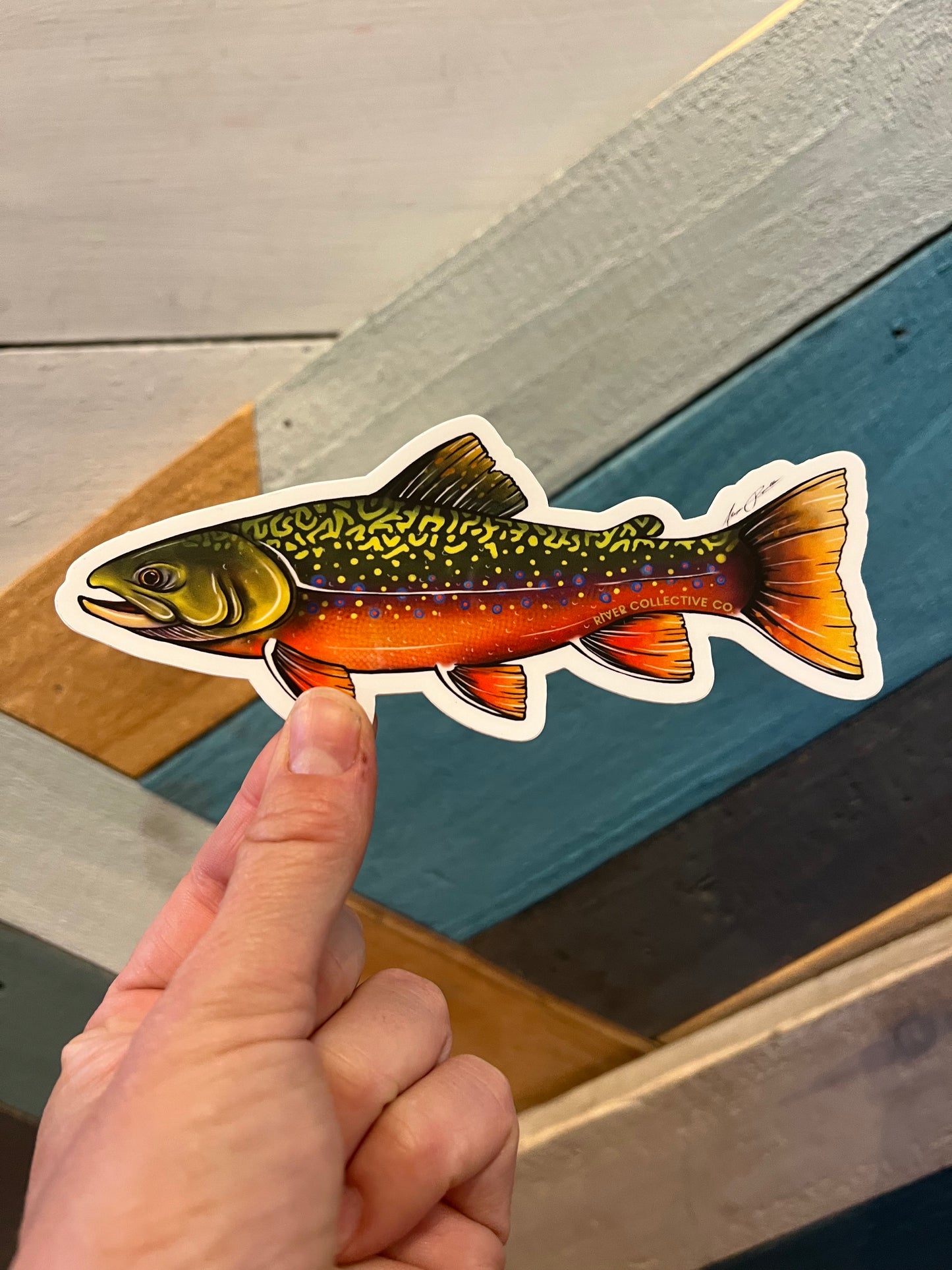 River Collective Trout Stickers